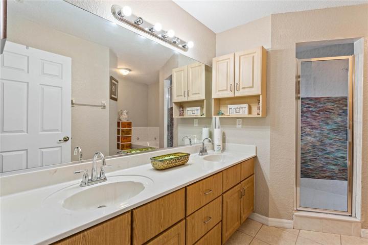 Ensuite primary bath