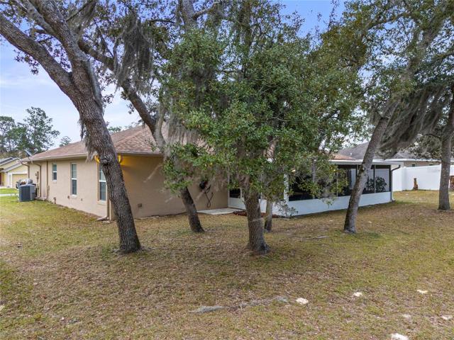 View of the back of the yard and lanai