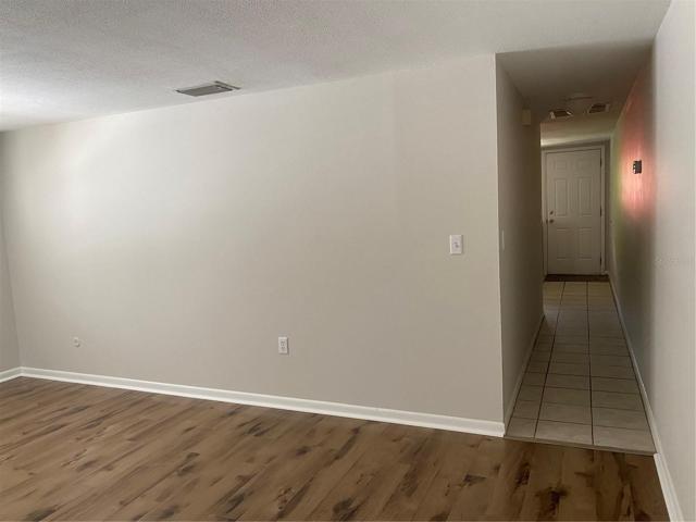 HALLWAY TO LIVING   ROOM