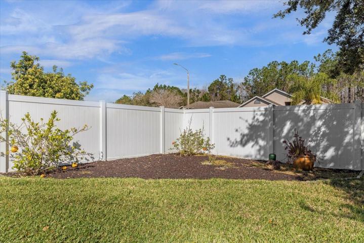 Huge Backyard, corner lot, big enough for a pool