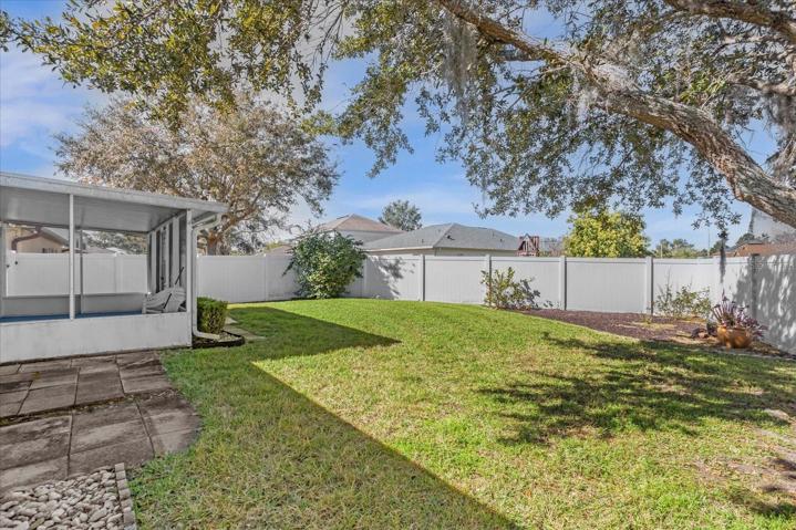 Huge Backyard, corner lot, big enough for a pool