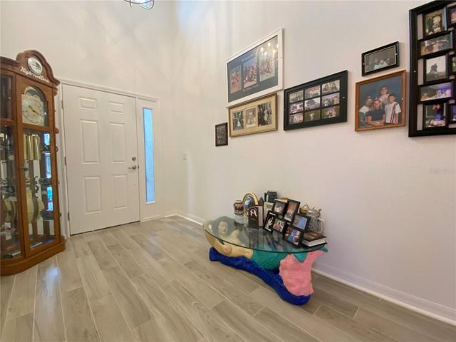 Tile Plank Flooring at Entrance of Home