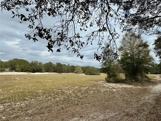 View of retention pond to the left