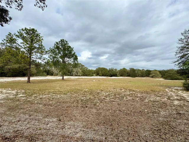 Expansive view from rear of property!