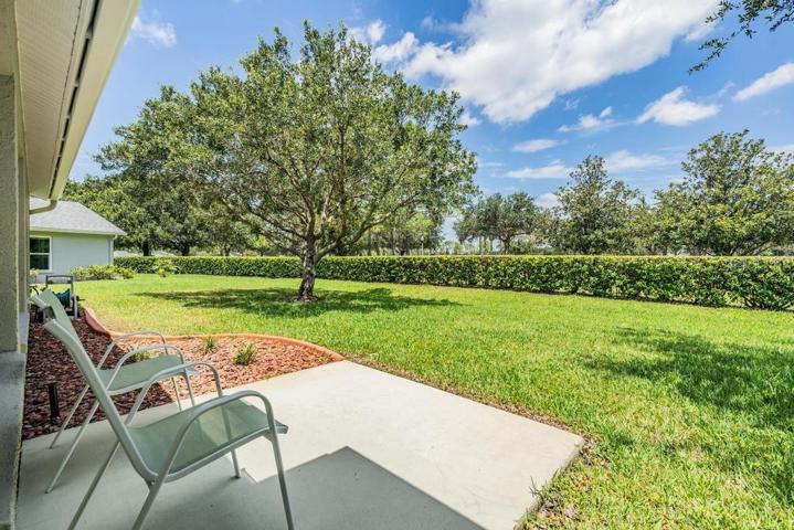 Back patio