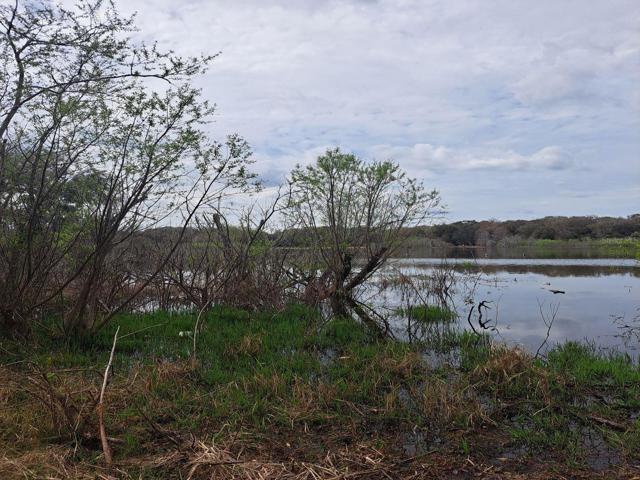 Lake view
