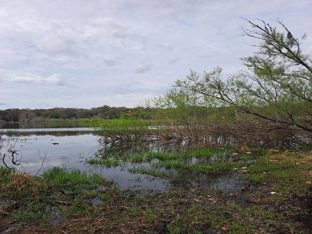 Lake view