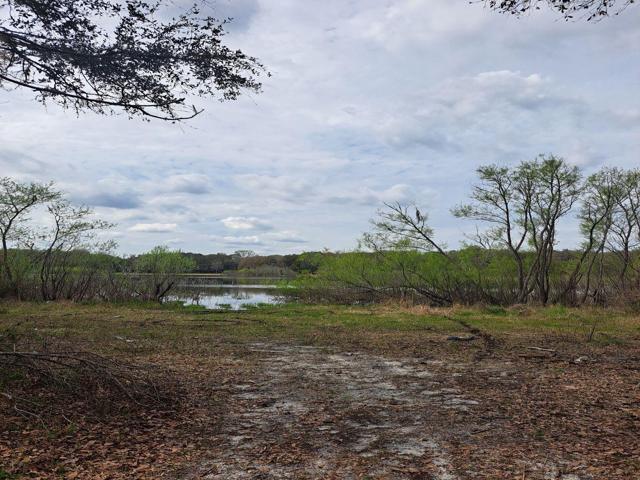 Back view to Lake