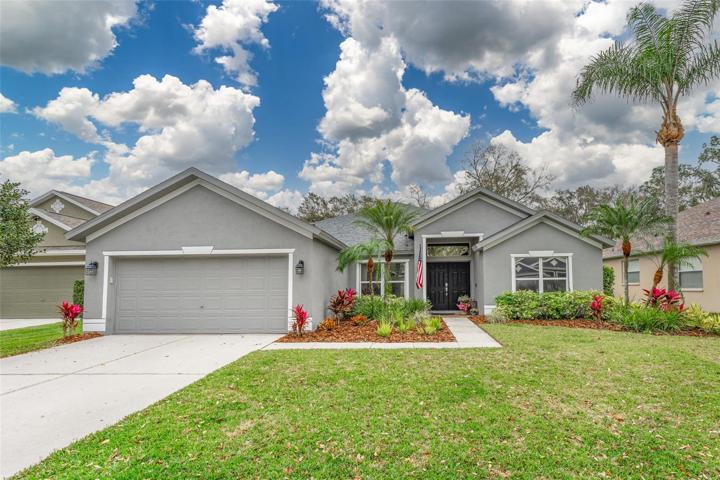 5910 Tealwater Place, Lithia FloridaFishhawk Ranch
