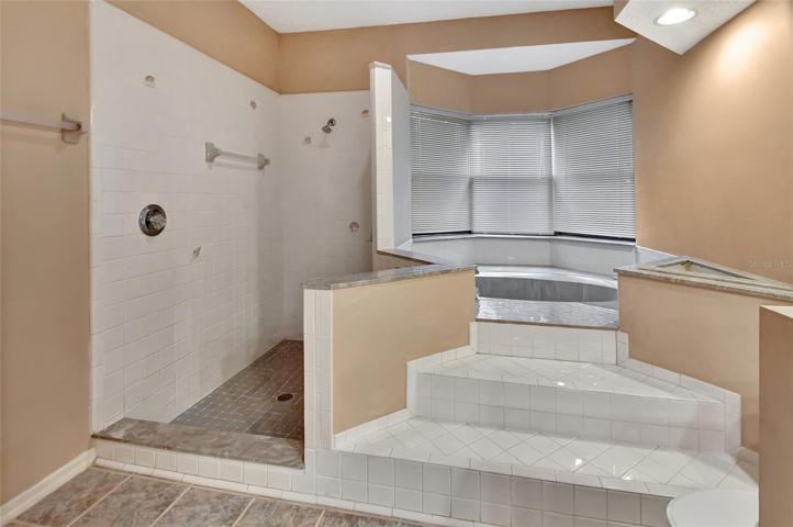 Walk in shower and garden tub