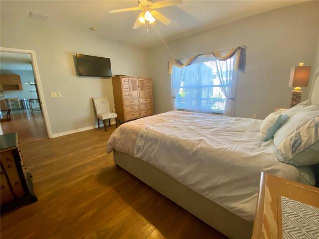 Master Bedroom with lots of natural light