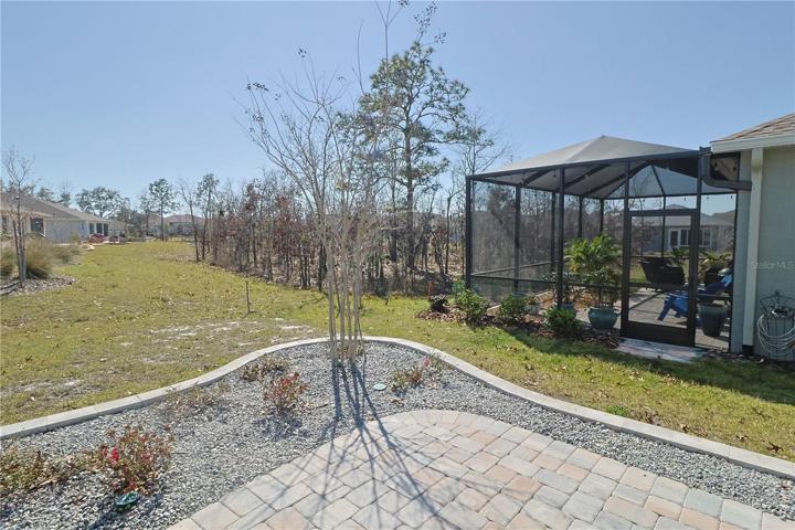 Rear Patio
