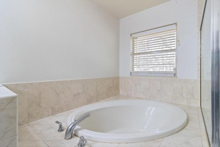 Master Bath Garden Tub