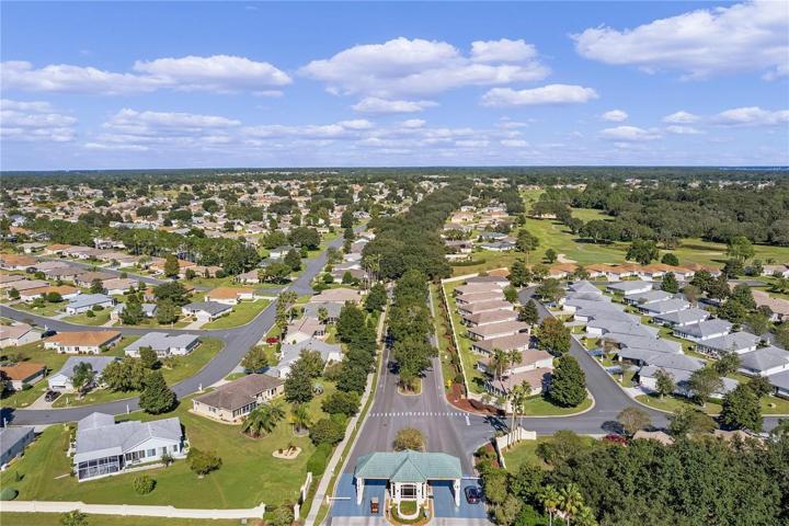 Tree-Lined Boulevard