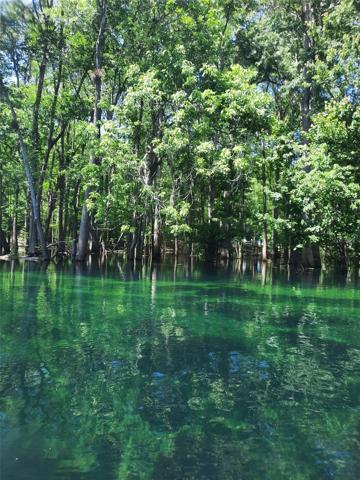 Ichetucknee River