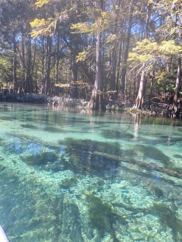 Ichetucknee River