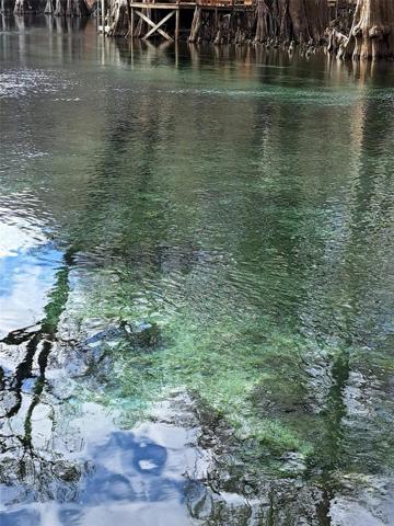 Ichetucknee River
