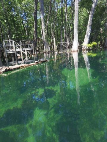 Ichetucknee River