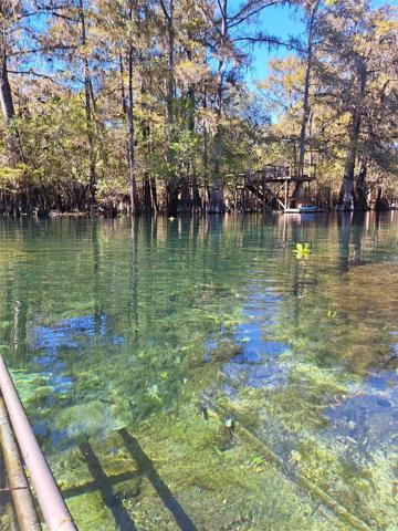 Ichetucknee River view from Point Park ramp