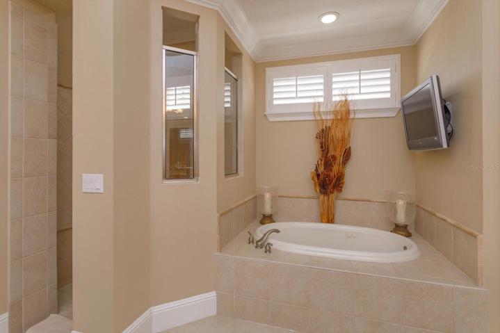 SPA TUB