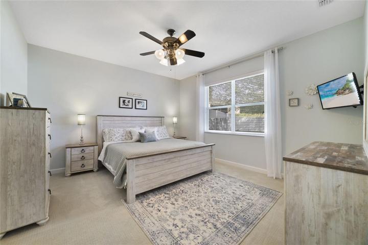 PRIMARY SUITE.