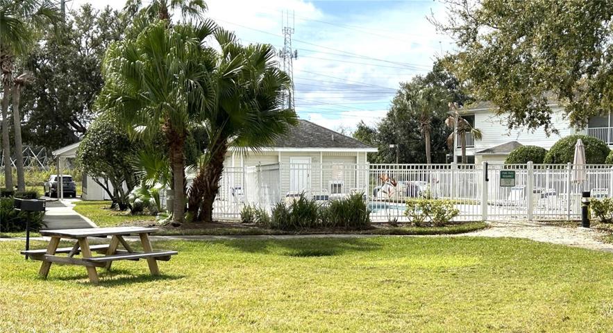Picnic area/Oasis Pool