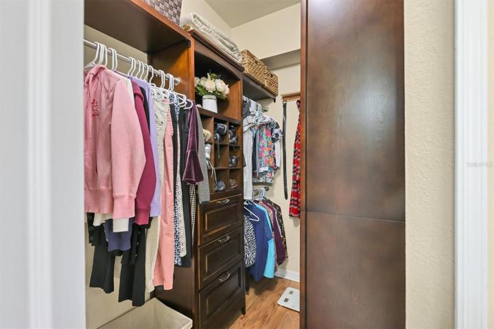 Custom wilk in closet