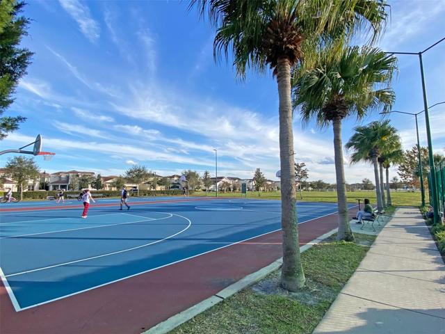 Basketball Court