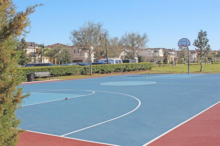 Basketball Court