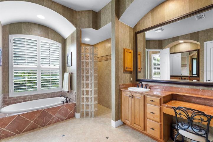 OTHER SIDE OF PRIMARY BATHROOM WALK IN SHOWER