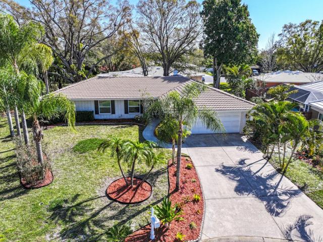 Welcome to the tropical setting of 3313 Pembrook Drive.