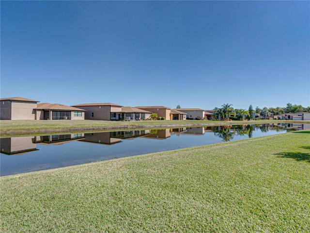 Back property view