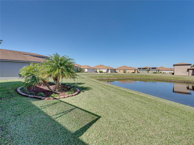 Back property view