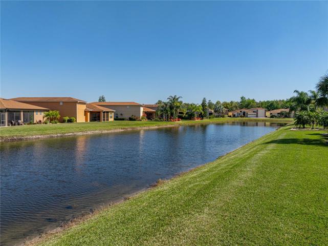 Back property view