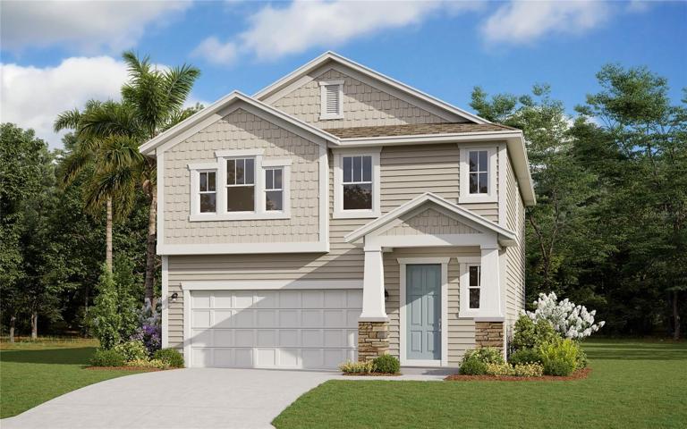 NASSAU B SAMPLE IMAGE