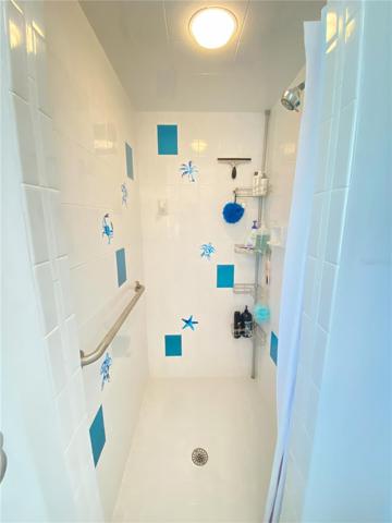Master Walk-In Shower