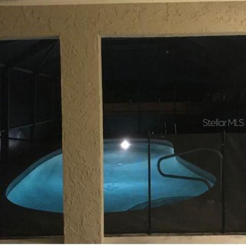 Midnight Dip Anyone?