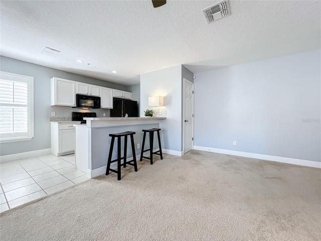 Living Room/Kitchen in Garage Apt.