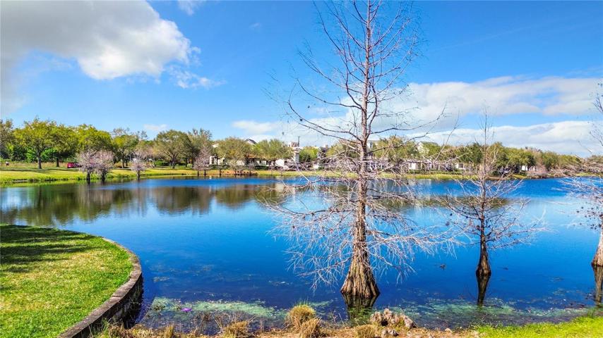 Pond View From Home