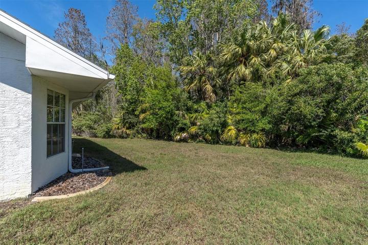 side yard of the .28 acre conservation lot