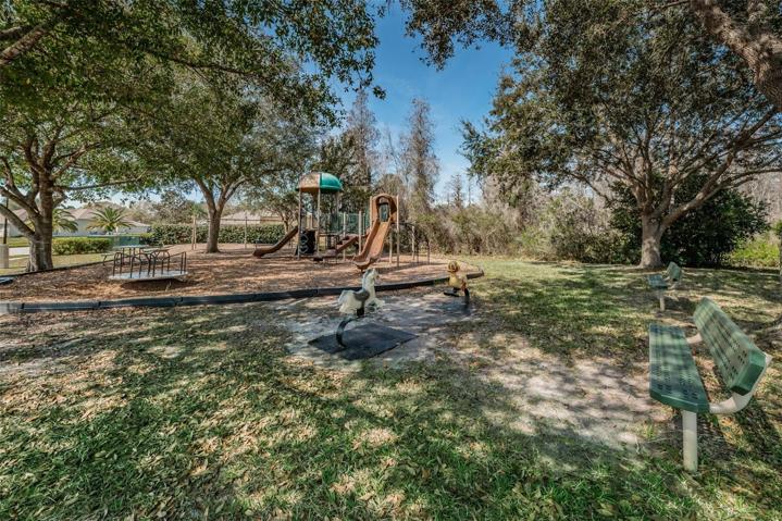 Trinity Oaks playground