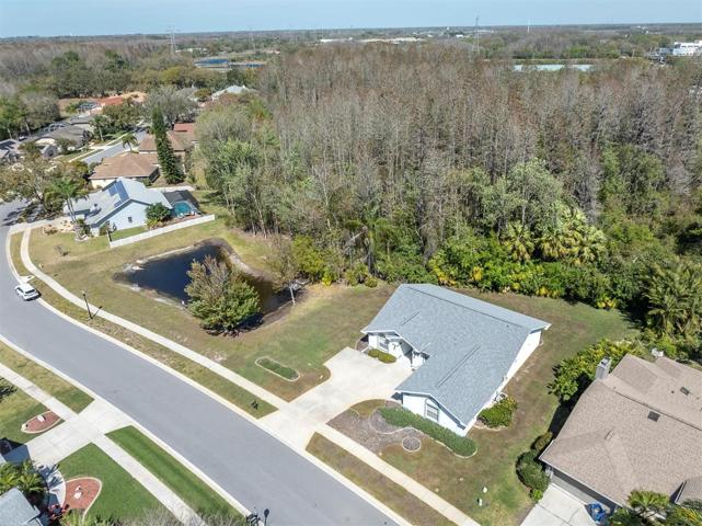 Street Aerial