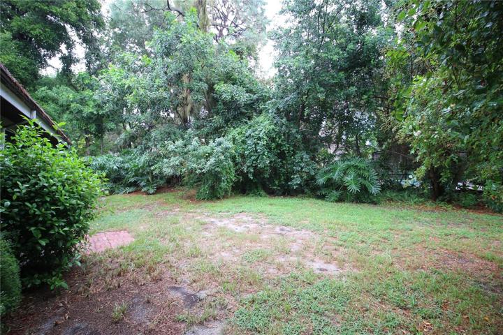 Back yard