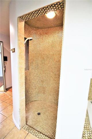 Master shower