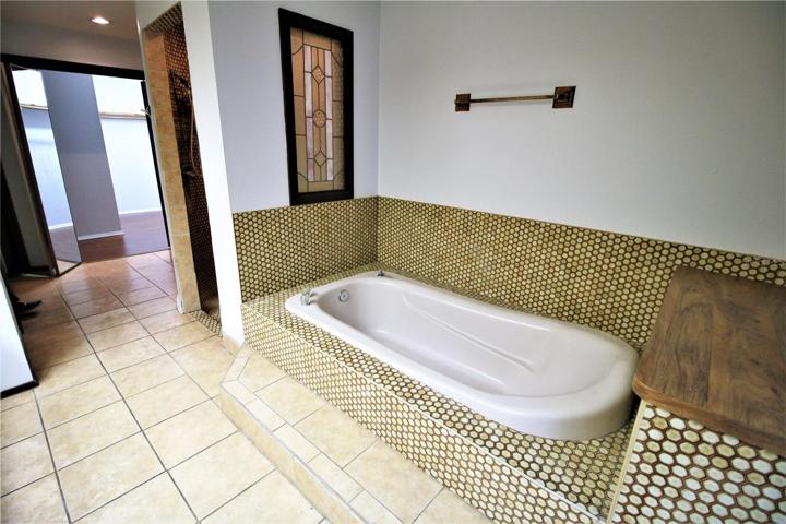 Master bath suite with large walk-in closet, tub and stall shower