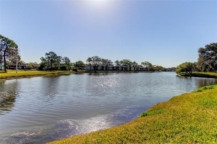 Retention Pond - Rear of Home
