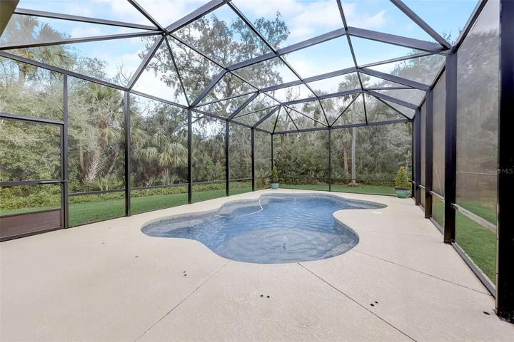 Pool area