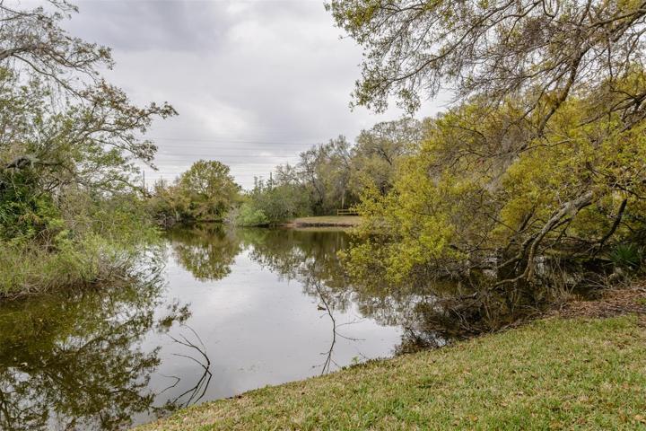 Bear Creek