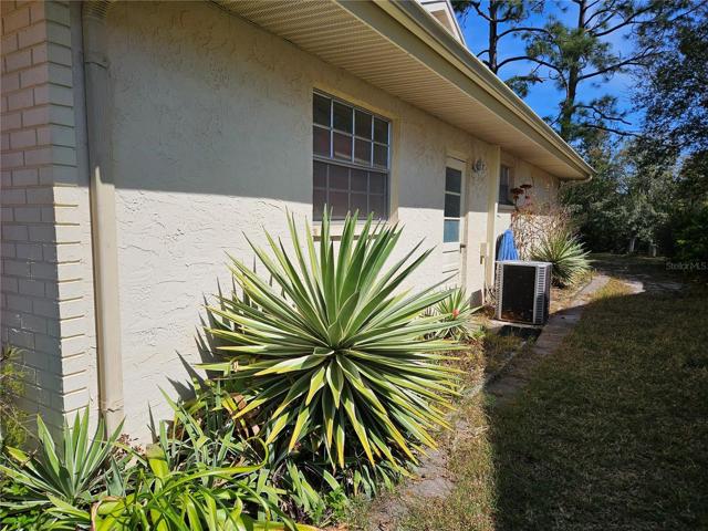 side yard