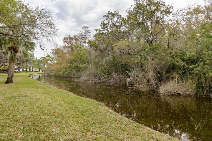 Bear Creek